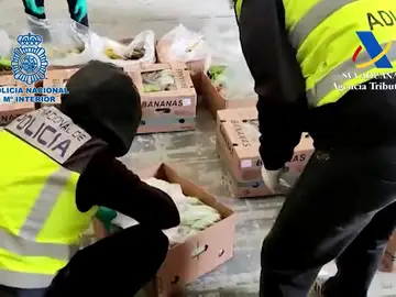 Intervienen dos toneladas de cocaína que venían de Sudamérica a Vigo escondidas entre bananas Intervienen dos toneladas de cocaína que venían de Sudamérica a Vigo escondidas entre bananas
