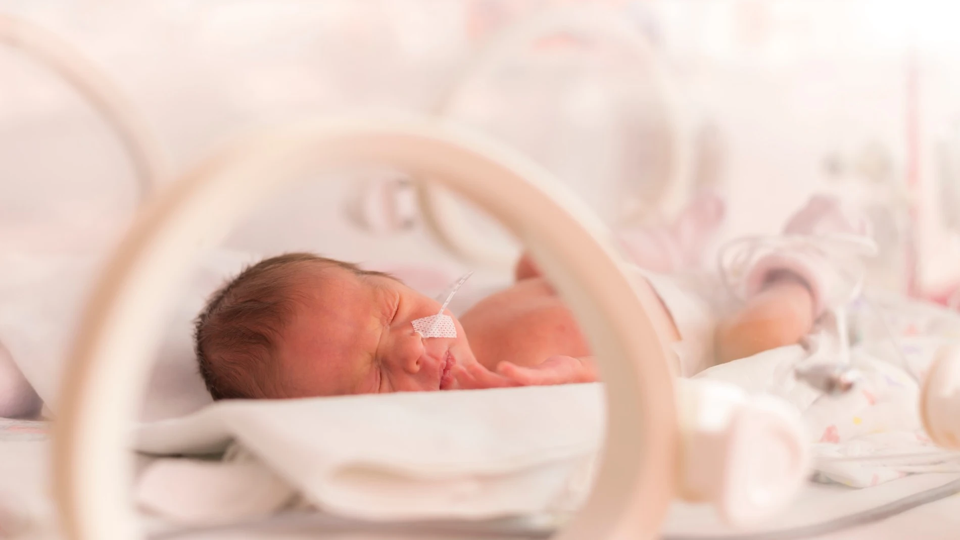 Más de cinco millones de bebés vienen al mundo cada año de forma prematura Más de cinco millones de bebés vienen al mundo cada año de forma prematura