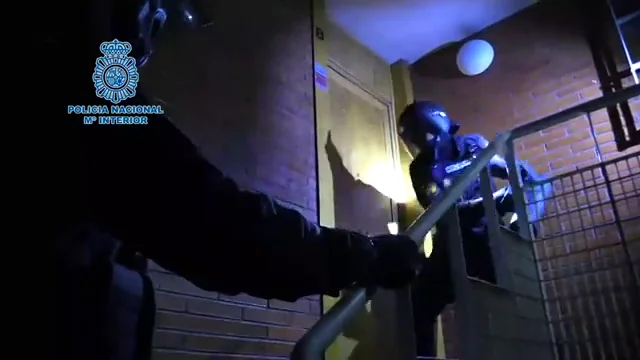 La Policía Nacional ha realizado trece registros y 40 detenciones La Policía Nacional ha realizado trece registros y 40 detenciones