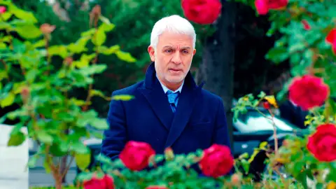 Halit Halit