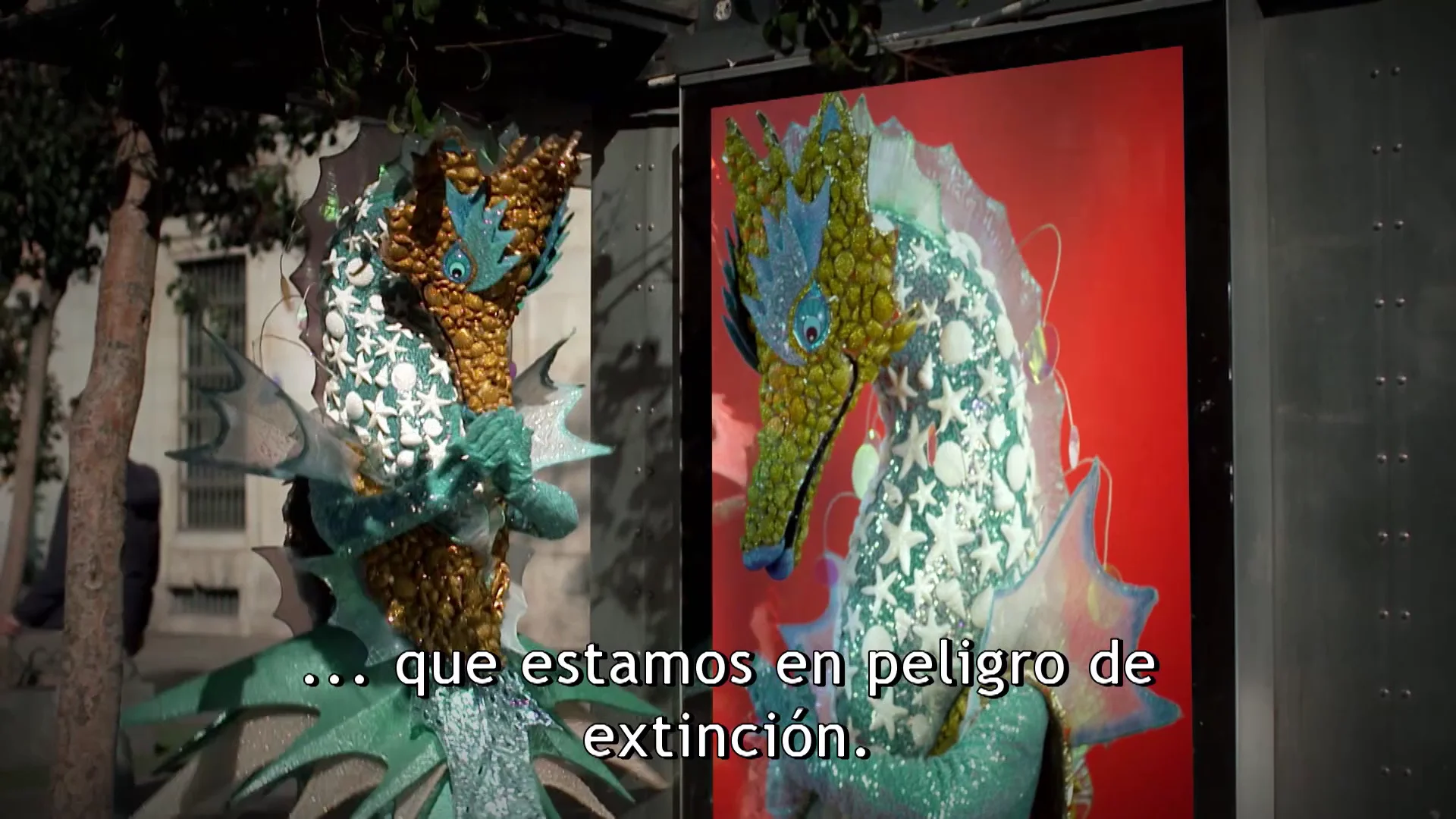 Las pistas de Caballito de mar: ”Hay recuerdos imposibles del olvidar” Las pistas de Caballito de mar: ”Hay recuerdos imposibles del olvidar”