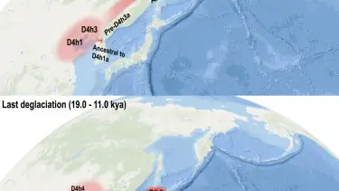 Mapa de migraciones en la Edad de Hielo Mapa de migraciones en la Edad de Hielo