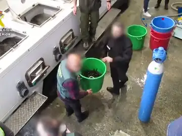 El vídeo de la Guardia Civil y la Gendarmeria francesa tras incautar 1,5 toneladas de angulas El vídeo de la Guardia Civil y la Gendarmeria francesa tras incautar 1,5 toneladas de angulas