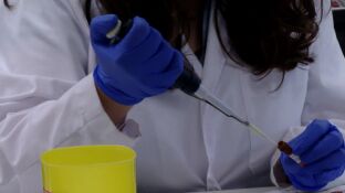 Nueva vacuna contra el c&aacute;ncer de p&aacute;ncreas