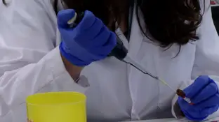Nueva vacuna contra el cáncer de páncreas Nueva vacuna contra el cáncer de páncreas