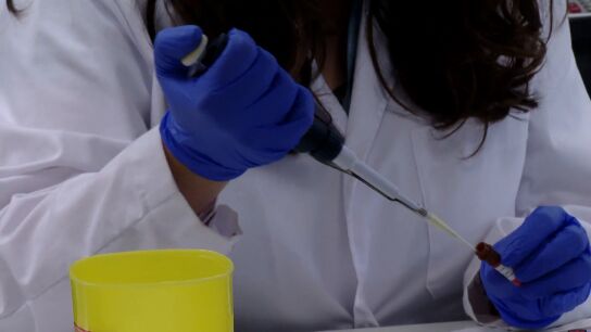 Nueva vacuna contra el c&aacute;ncer de p&aacute;ncreas