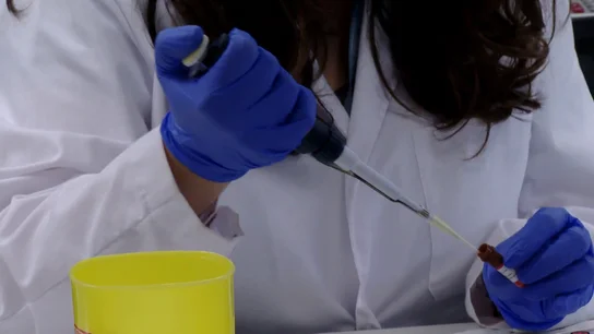 Nueva vacuna contra el cáncer de páncreas Nueva vacuna contra el cáncer de páncreas