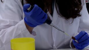 Nueva vacuna contra el c&aacute;ncer de p&aacute;ncreas