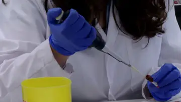Nueva vacuna contra el cáncer de páncreas Nueva vacuna contra el cáncer de páncreas