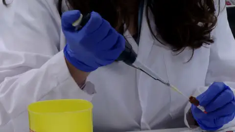 Nueva vacuna contra el cáncer de páncreas Nueva vacuna contra el cáncer de páncreas