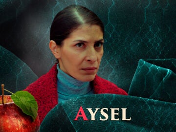 Vildan Vatansever es Aysel