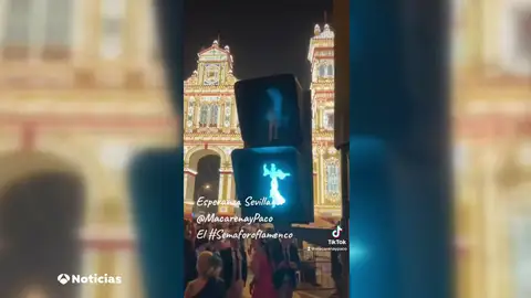 Semáforos flamencos Semáforos flamencos