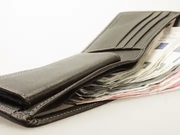 Cartera con dinero Cartera con dinero
