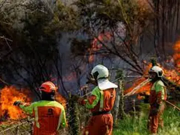 Los bomberos aseguran que la falta de coordinación entre los distintos cuerpos puede costar vidas Los bomberos aseguran que la falta de coordinación entre los distintos cuerpos puede costar vidas
