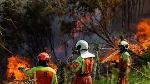 Los bomberos aseguran que la falta de coordinación entre los distintos cuerpos puede costar vidas Los bomberos aseguran que la falta de coordinación entre los distintos cuerpos puede costar vidas