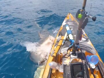 El momento en que un tiburón muerde el kayak de un pescador en Hawái
