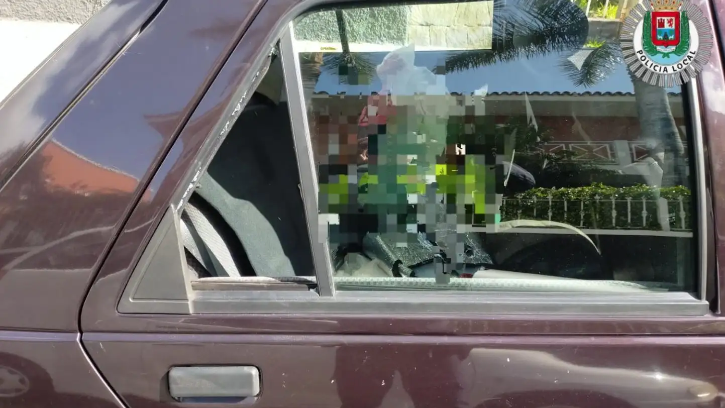 Los dos ladrones en el interior del coche 