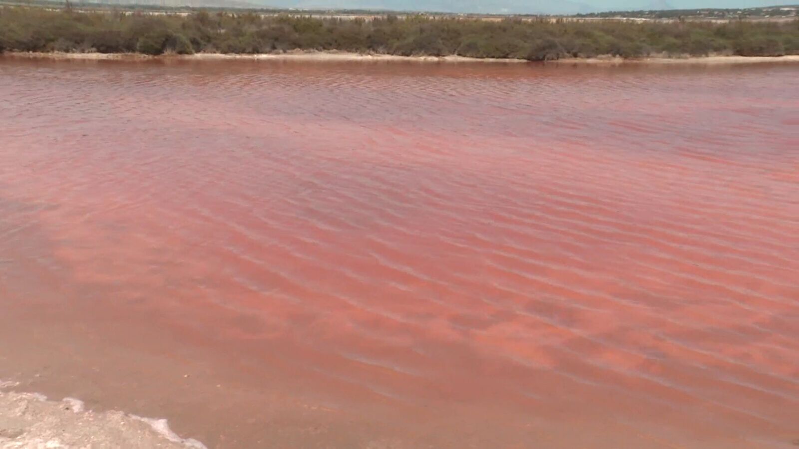 El pigmento anticáncer de las salinas de Santa Pola 