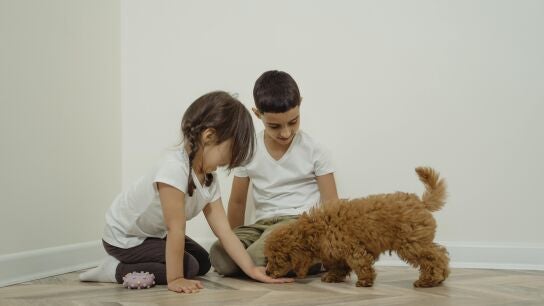 Una ni&ntilde;o y una ni&ntilde;a acarician a su mascota