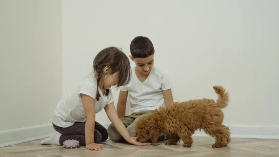 Una niño y una niña acarician a su mascota Una niño y una niña acarician a su mascota