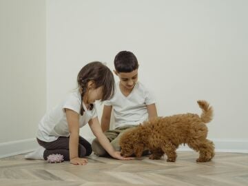 Una niño y una niña acarician a su mascota
