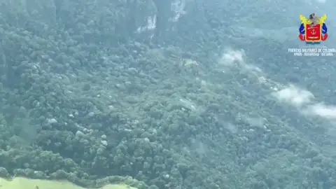 Imagen aérea de la selva Imagen aérea de la selva