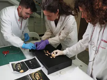 Nuevos restos fósiles de preneandertales hallados en Atapuerca Nuevos restos fósiles de preneandertales hallados en Atapuerca