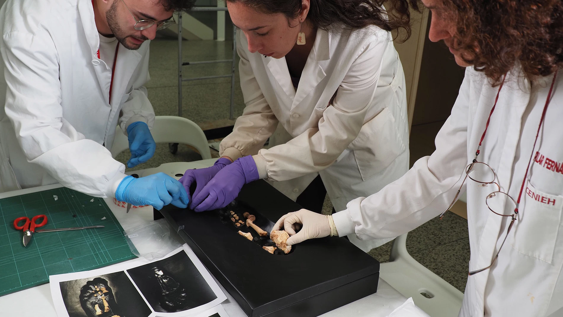Nuevos restos fósiles de preneandertales hallados en Atapuerca