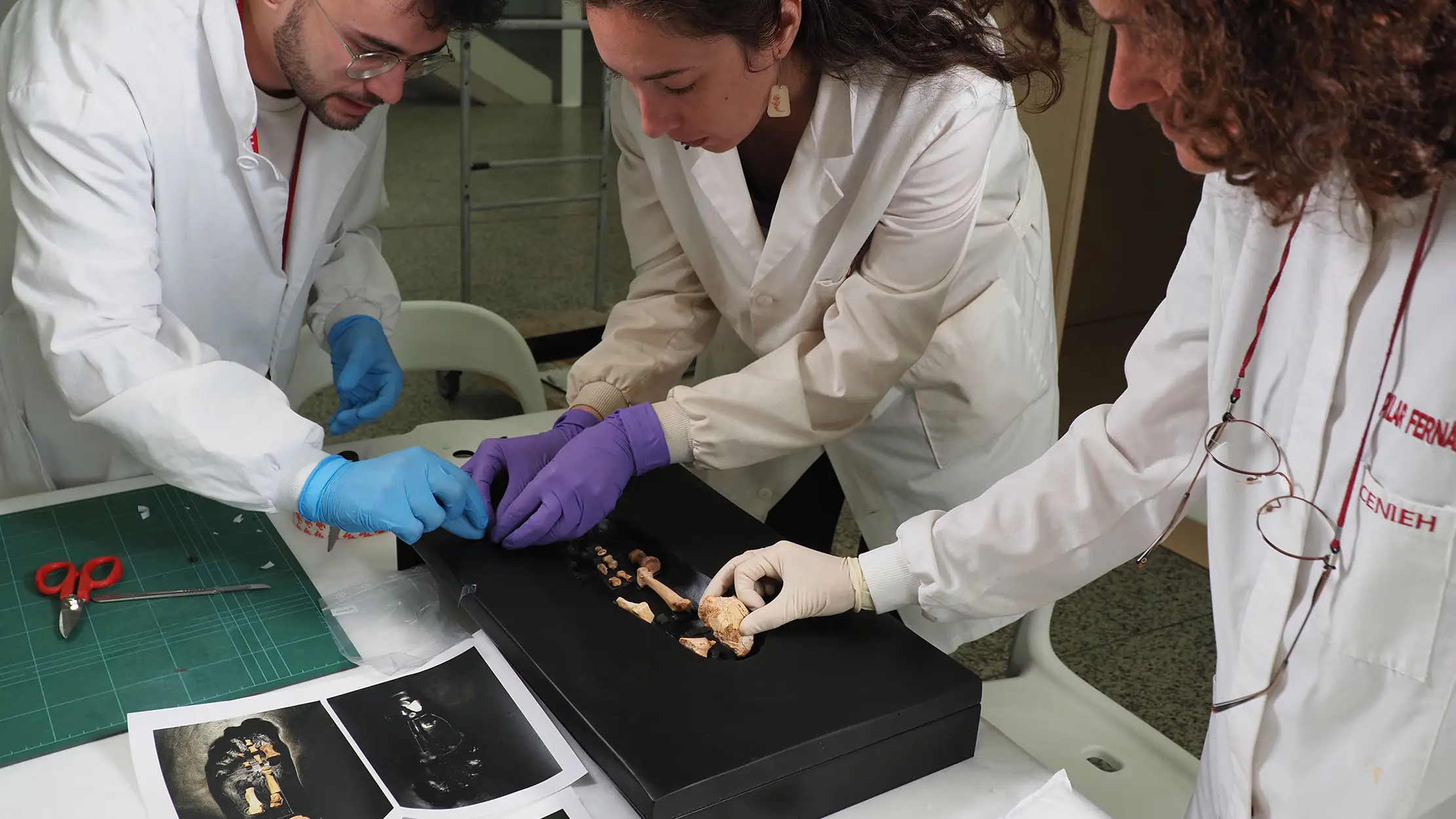 Nuevos restos f&oacute;siles de preneandertales hallados en Atapuerca