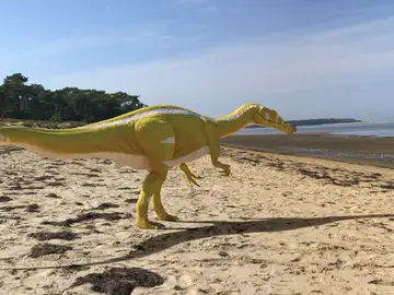 Recreación artística de un ejemplar de una nueva especie de dinosaurio en Castellón Recreación artística de un ejemplar de una nueva especie de dinosaurio en Castellón