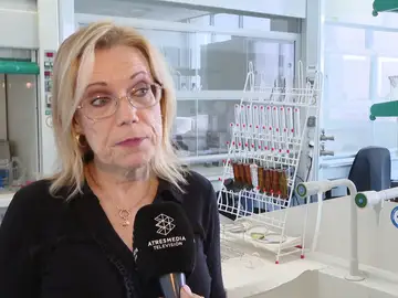 La investigadora Silvia Díaz-Cruz La investigadora Silvia Díaz-Cruz