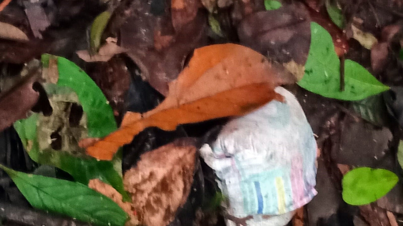 Un pañal, unos zapatos y una toalla, los nuevos rastros de los niños desaparecidos en la selva de Colombia