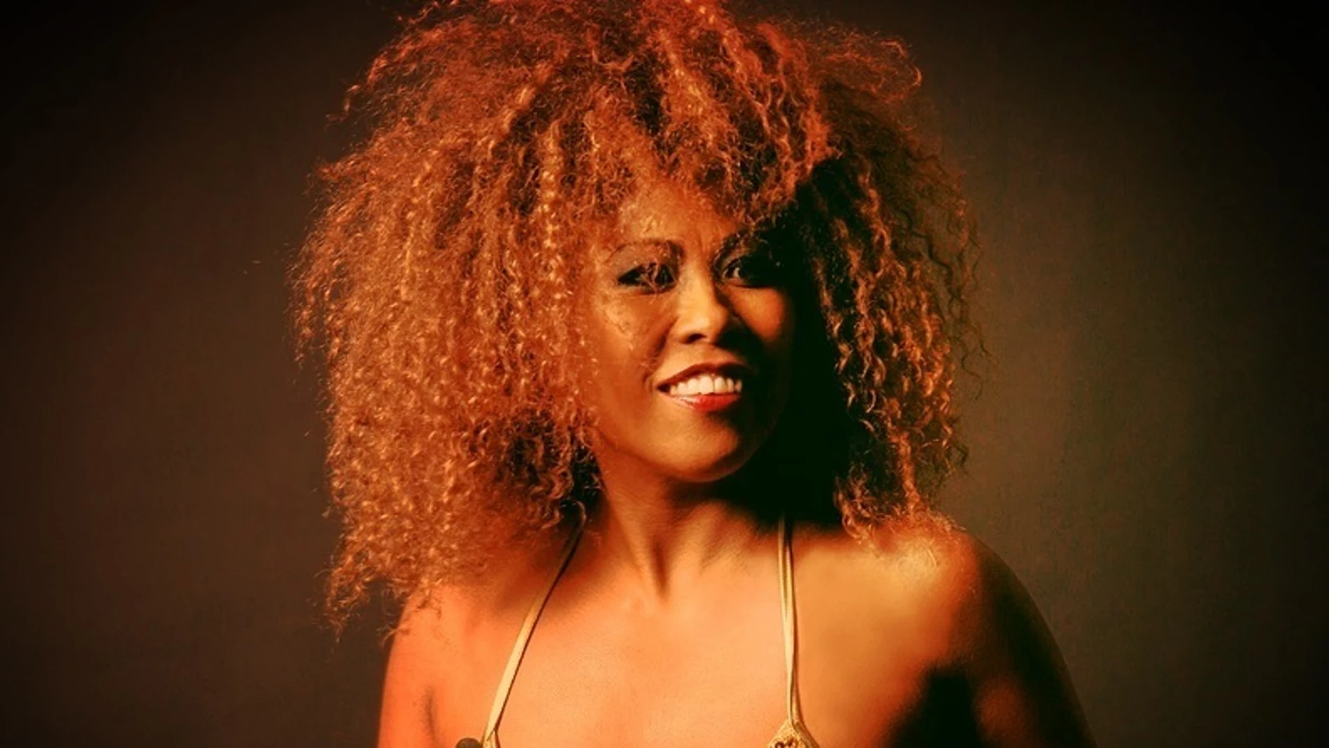 Imagen de archivo de Tina Turner Imagen de archivo de Tina Turner