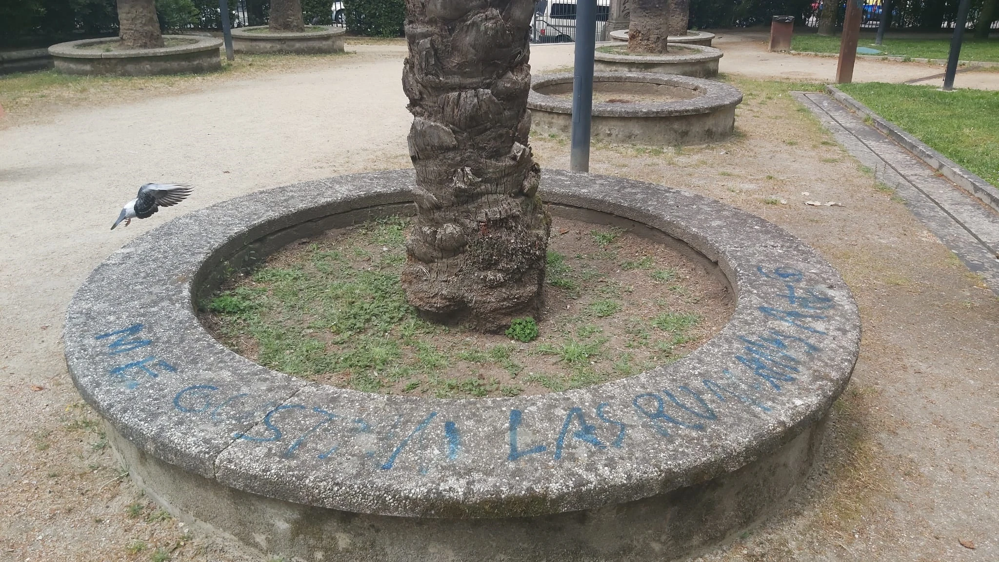 Las pintadas en el jardín de Ourense Las pintadas en el jardín de Ourense