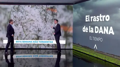 El rastro de la DANA. El rastro de la DANA.