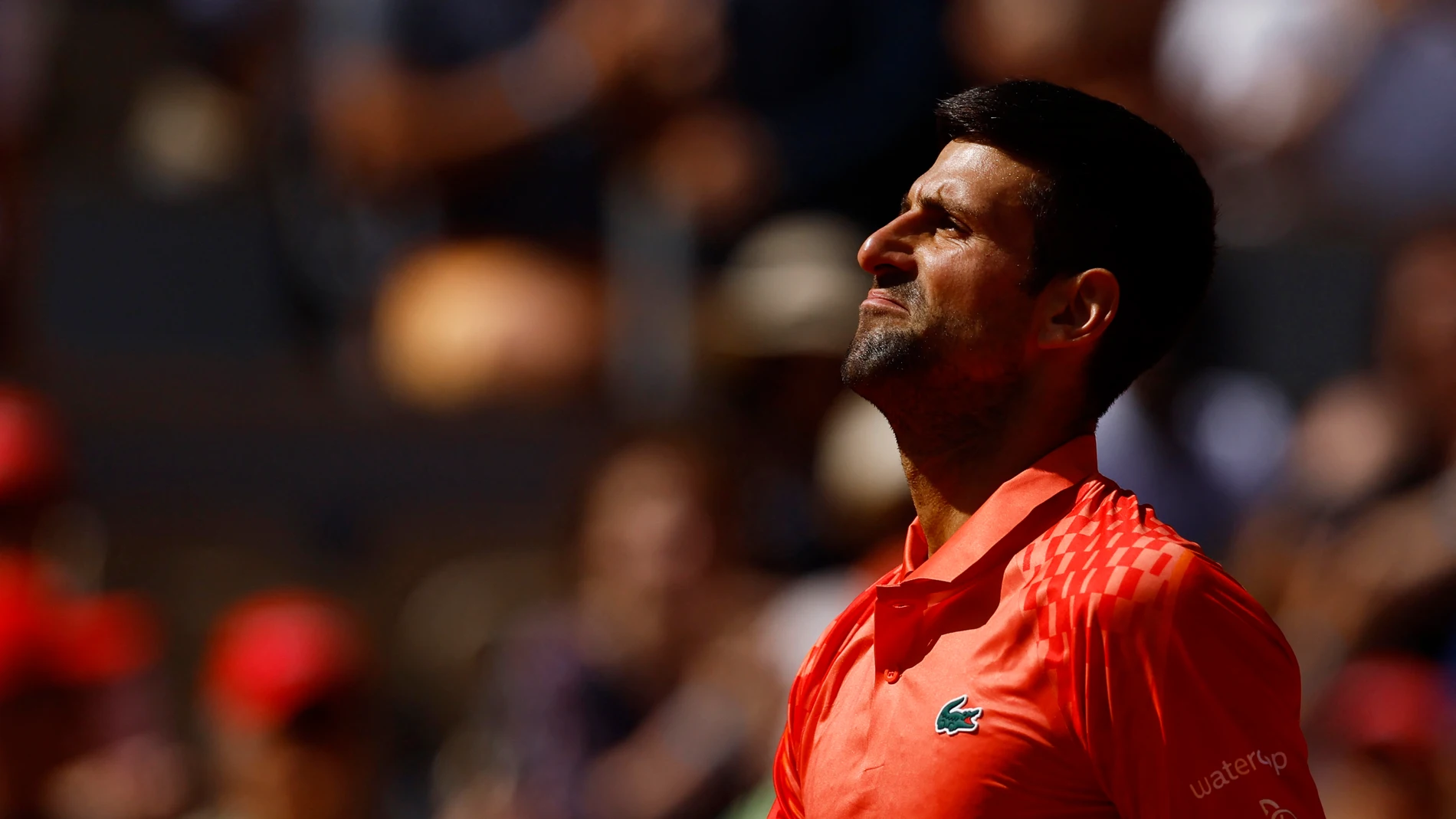 El Gobierno de Francia avisa a Djokovic tras su mensaje por un Kosovo  serbio en Roland Garros