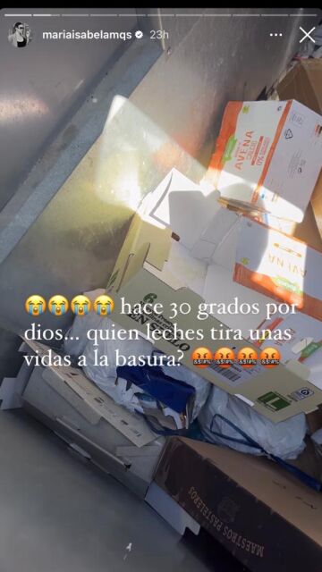 María Isabel se encuentra unos gatitos en la basura