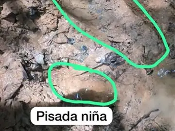 Imagen de la huella de la niña Imagen de la huella de la niña