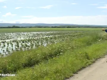 Las tormentas de las últimas no benefician la situación de sequía del campo Las tormentas de las últimas no benefician la situación de sequía del campo