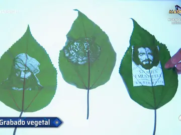 ¡Una ducha de fuego! La experiencia de Marron que hace flipar al mismísimo Sandokan ¡Una ducha de fuego! La experiencia de Marron que hace flipar al mismísimo Sandokan