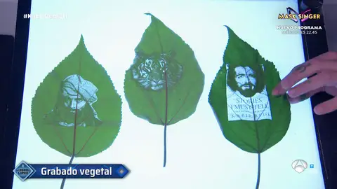 ¡Una ducha de fuego! La experiencia de Marron que hace flipar al mismísimo Sandokan ¡Una ducha de fuego! La experiencia de Marron que hace flipar al mismísimo Sandokan