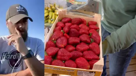Fresas. Fresas.