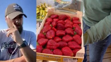 Un agricultor andaluz, sobre el boicot alemán a la fresa de Doñana: 