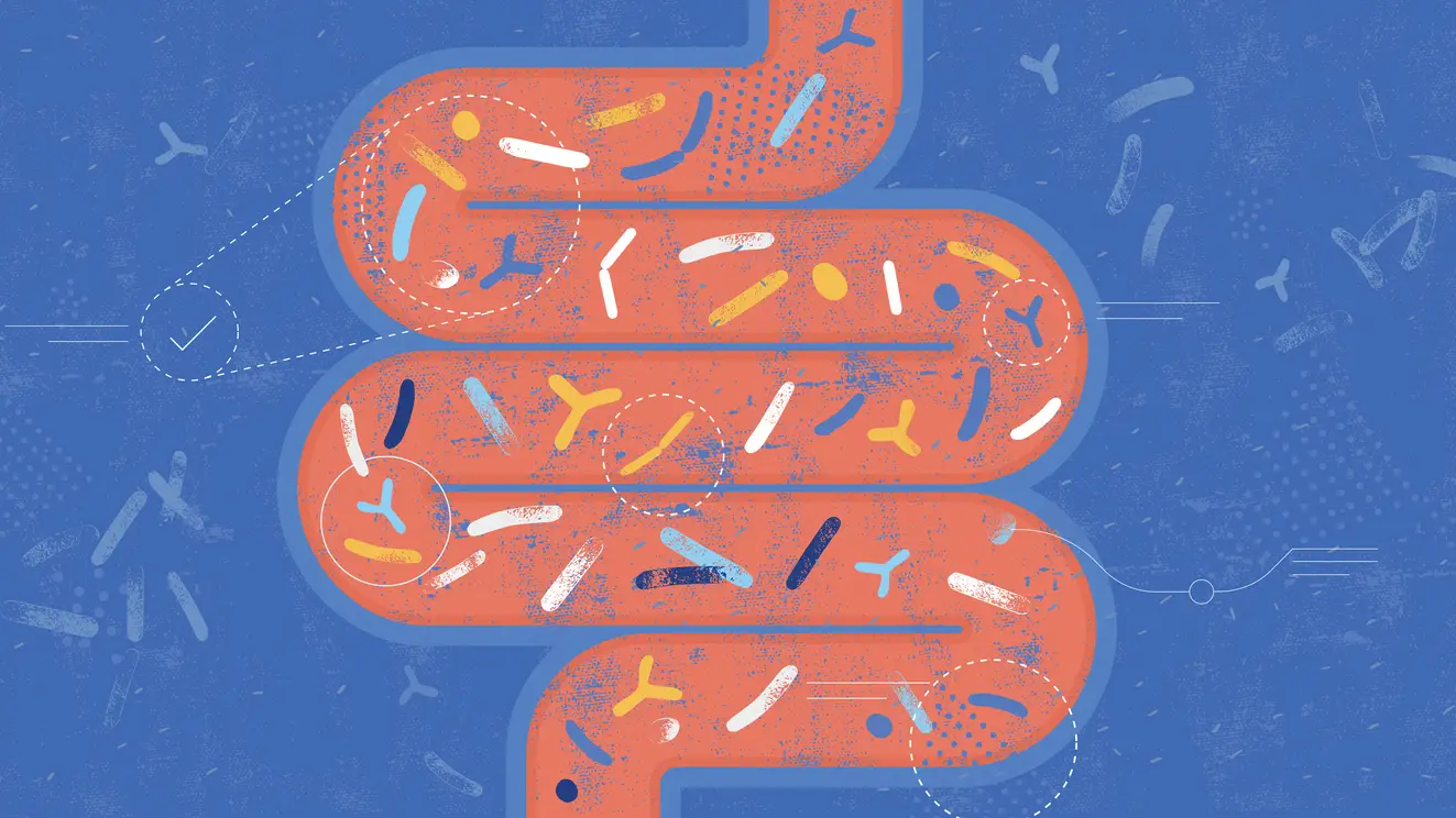 Ilustración de microorganismos en el cuerpo humano Ilustración de microorganismos en el cuerpo humano