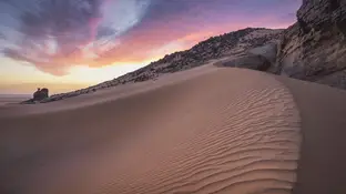 Yacimientos confirman que el Sahara fue verde Yacimientos confirman que el Sahara fue verde