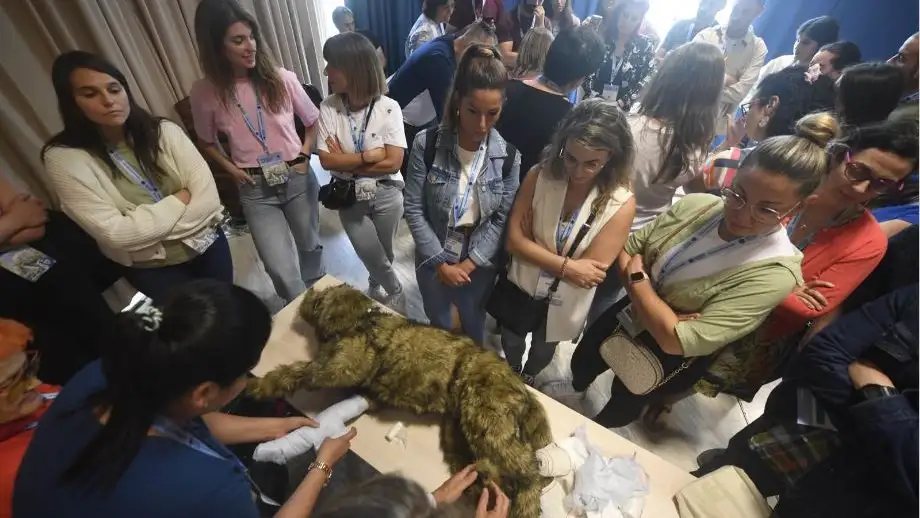 Sociedad Española de Medicina de Urgencias y Emergencias Sociedad Española de Medicina de Urgencias y Emergencias