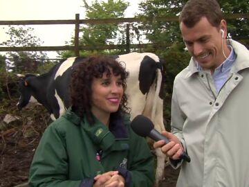 ¡Ganar 2.000 euros como ‘TikToker de vacas’ es posible! Esta es la oferta de trabajo de una granja ecológica de Galicia