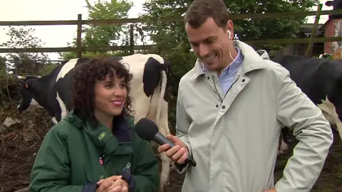 ¡Ganar 2.000 euros como ‘TikToker de vacas’ es posible! Esta es la oferta de trabajo de una granja ecológica de Galicia ¡Ganar 2.000 euros como ‘TikToker de vacas’ es posible! Esta es la oferta de trabajo de una granja ecológica de Galicia