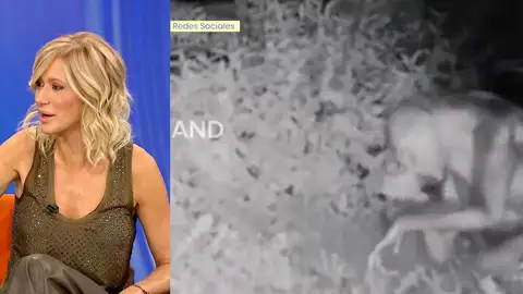 Susanna Griso en Espejo Público. Susanna Griso en Espejo Público.