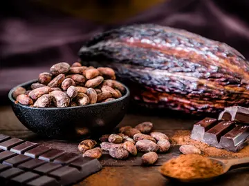 Granos de cacao y tableta de chocolate Granos de cacao y tableta de chocolate